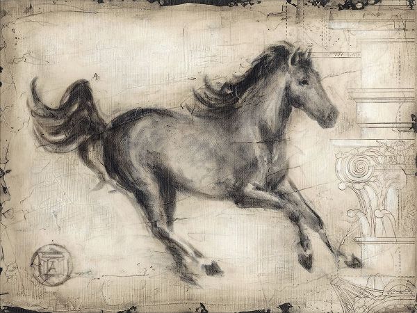 Roman Horse I