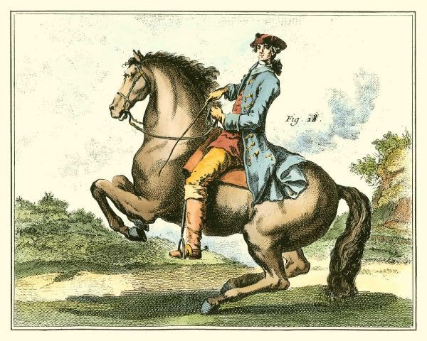 Equestrian Training IV