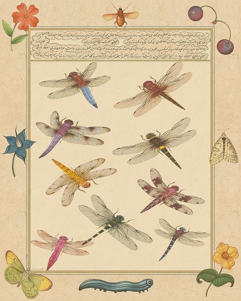 Prasad, Jaggu 아티스트의 Dragonfly Manuscript III작품입니다.