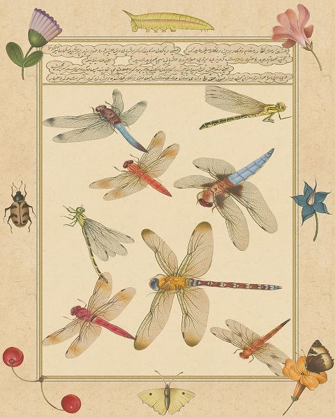 Prasad, Jaggu 아티스트의 Dragonfly Manuscript IV작품입니다.