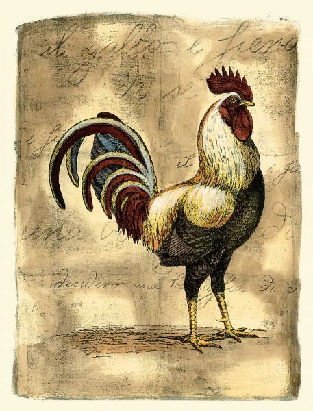 Tuscany Rooster I