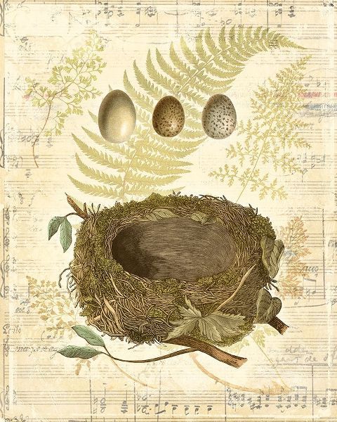 Melodic Nest and Eggs I