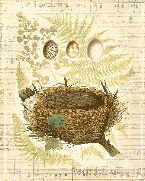 Melodic Nest and Eggs II