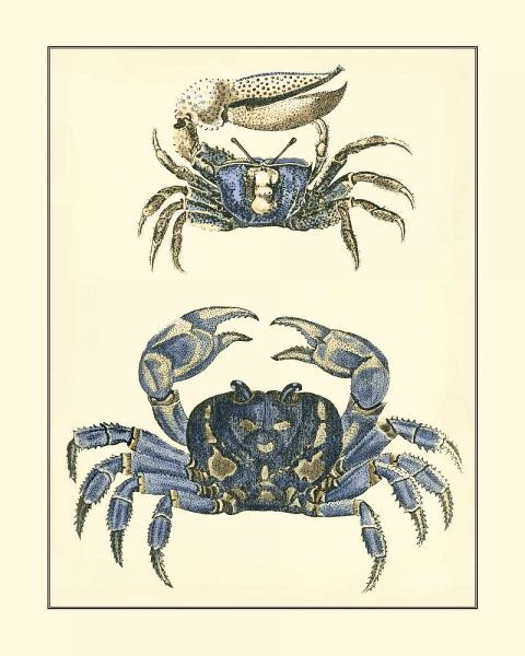 Antique Blue Crabs II