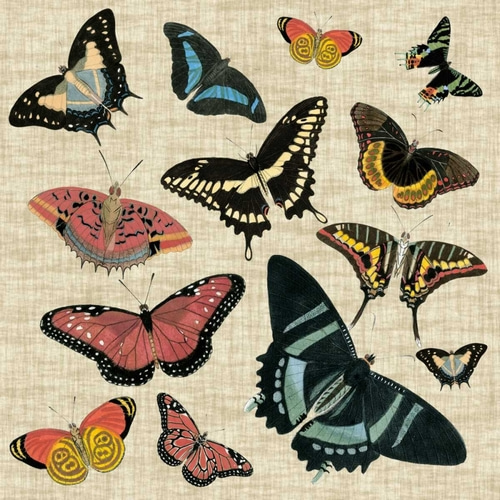 Butterflies and Linen II