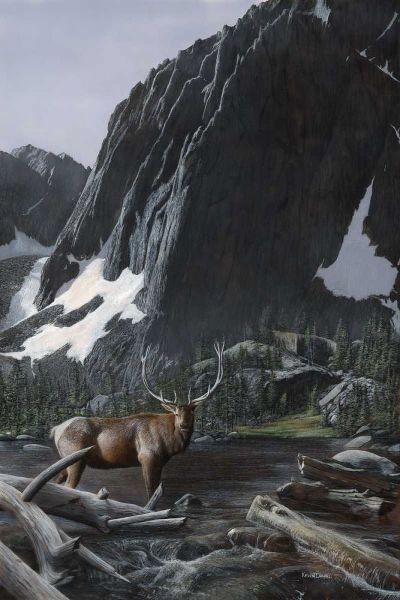 Mountainside Elk I
