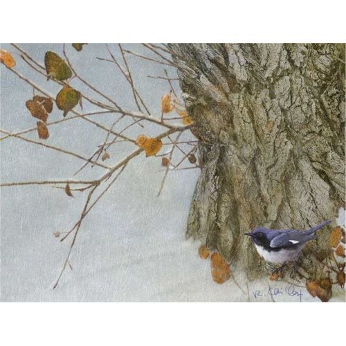 Late Snow Warbler