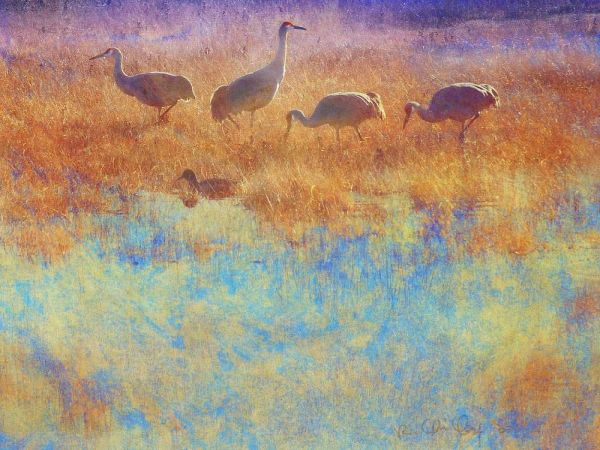 Cranes in Soft Mist