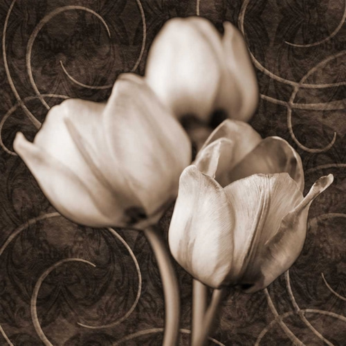 Tulip and Swirls I