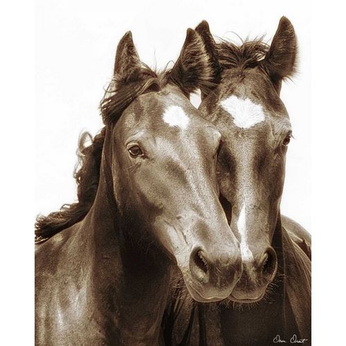 Horse Portrait III