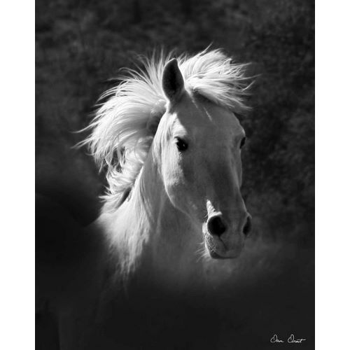 Horse Portrait V