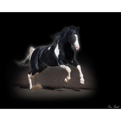 Horse Portrait VIII