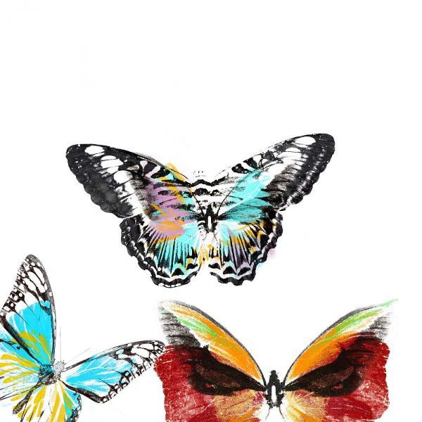 Butterflies Dance II