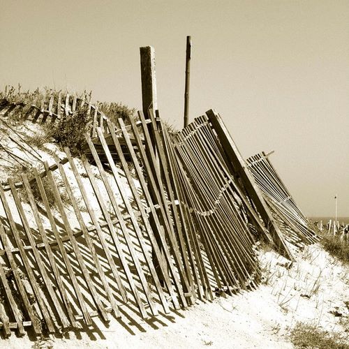 Fences in the Sand I