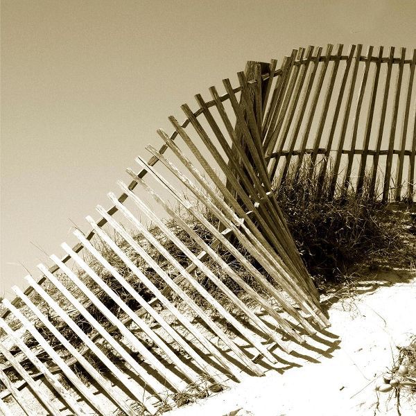 Fences in the Sand III