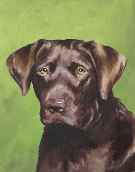 Dog Portrait-Chocolate