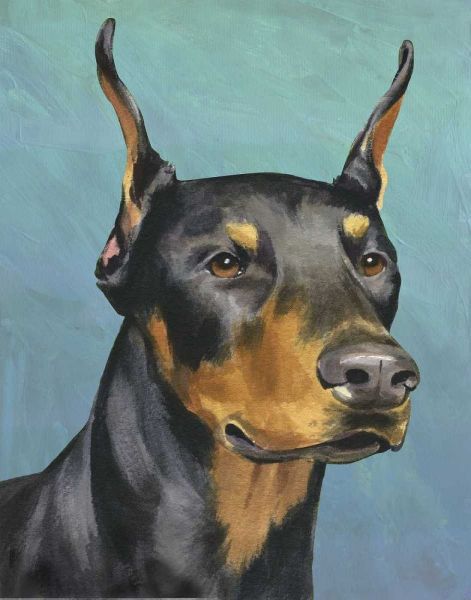 Dog Portrait-Dobie