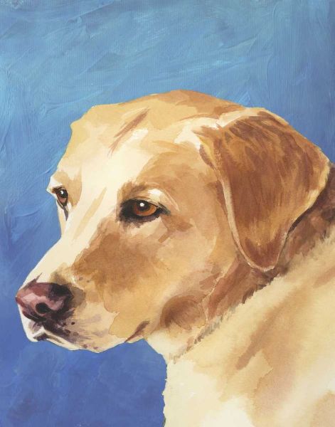 Dog Portrait-Yellow Lab
