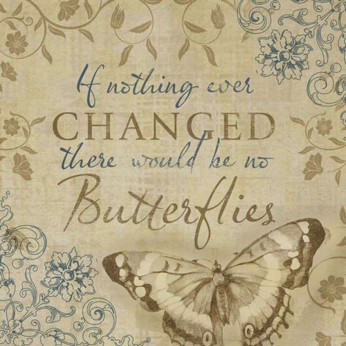 Butterfly Notes VI