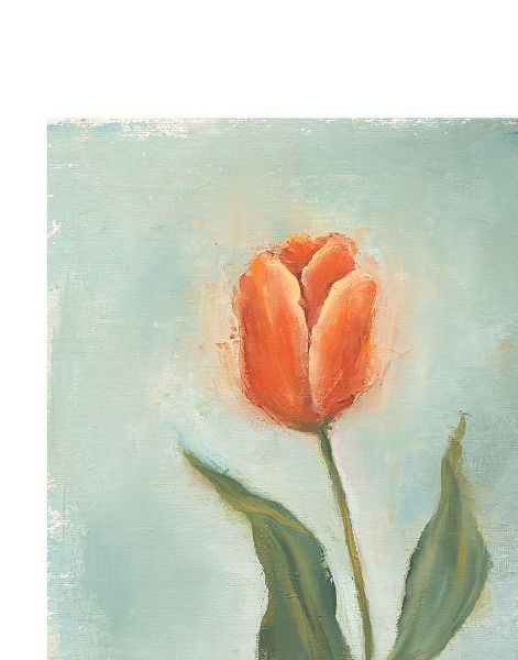 Painted Tulips V