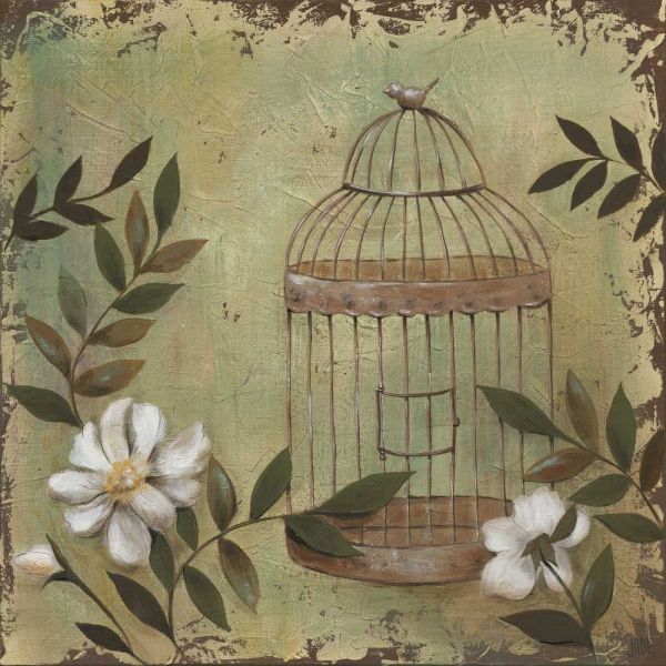 Decorative Bird Cage I