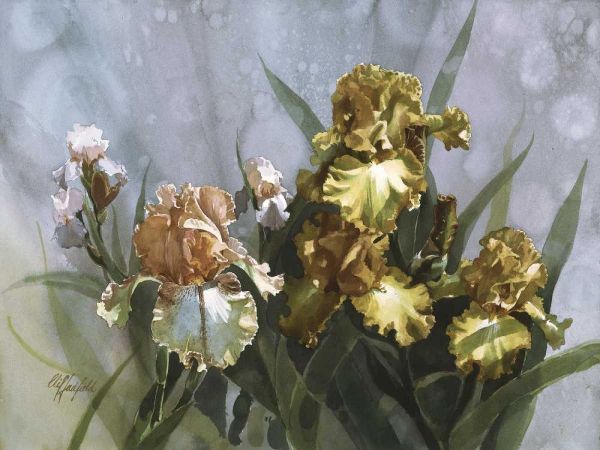 Hadfield Irises I
