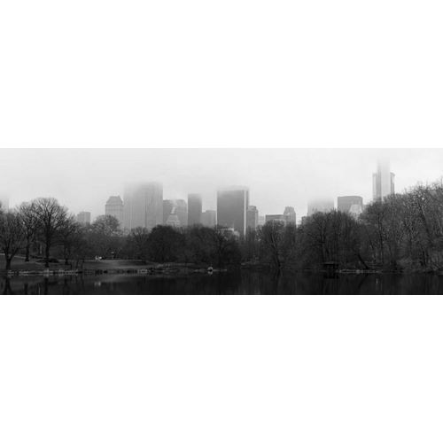 Panorama of NYC III