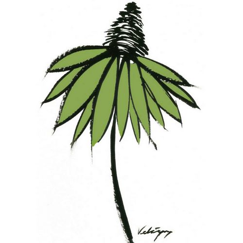 Graphic Cone Flower II