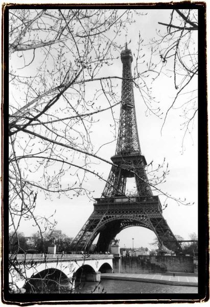 Eiffel Tower Along The Seine River