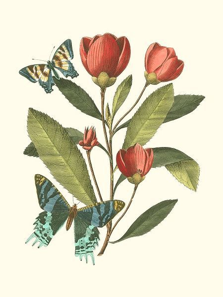 Midsummer Floral II