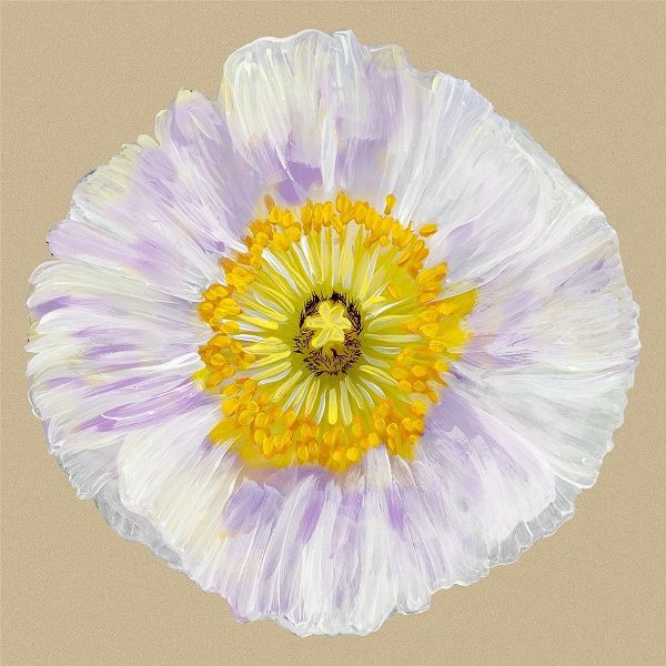 Poppy Blossom IV