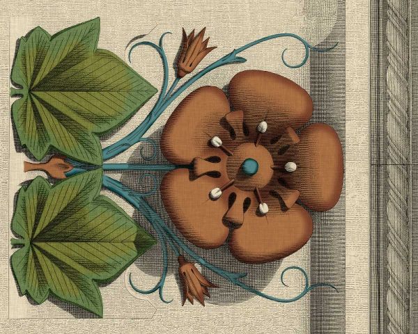 Floral Detail I