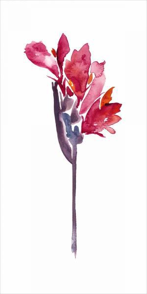 Floral Watercolor V