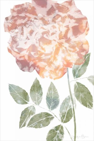 Watercolor Bloom III