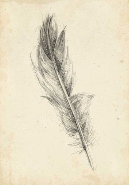 Feather Sketch IV