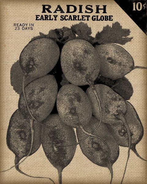 Vintage Seed Pack I