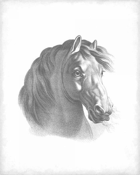 Equestrian Blueprint II