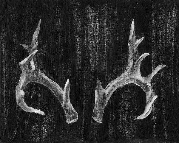 Rustic Antlers I