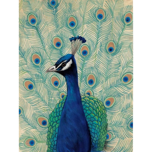 Blue Peacock II