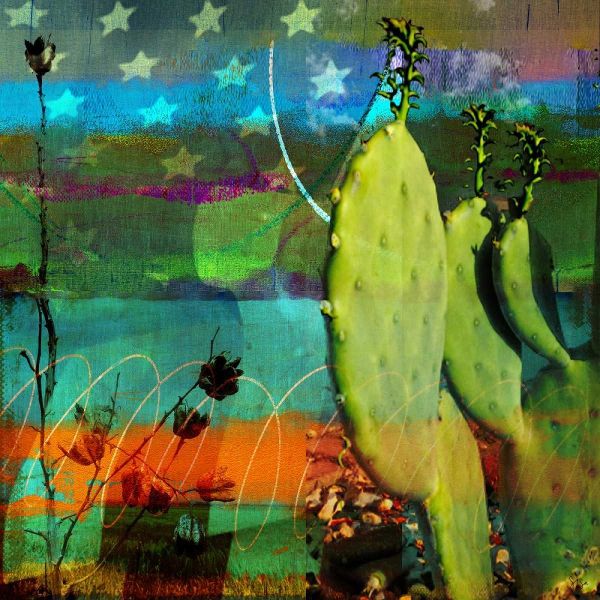 Cactus and Flag Collage