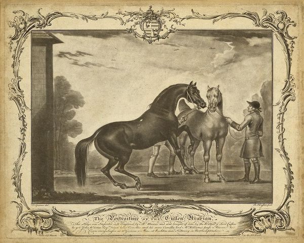 Distinguished Horses III