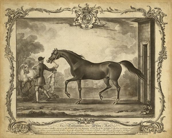 Distinguished Horses IV