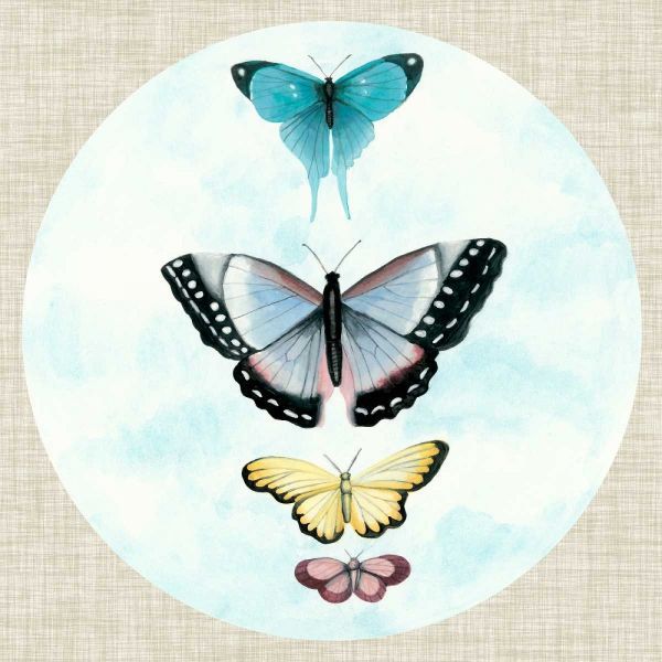 Butterfly Daydream II