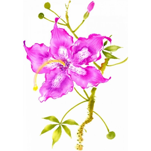 Hibiscus Flower I