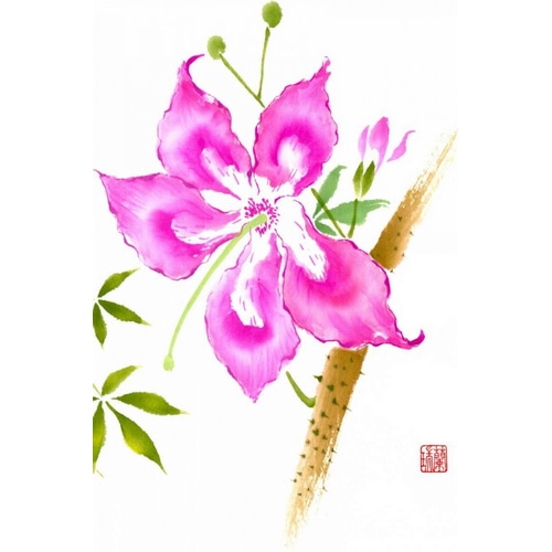 Hibiscus Flower II