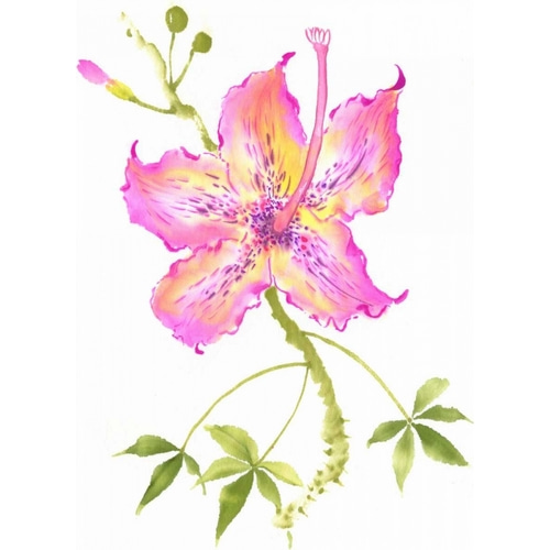 Hibiscus Flower IV