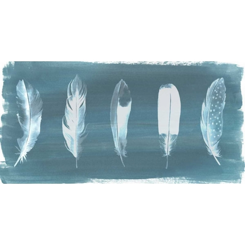 Feathers on Dusty Teal I