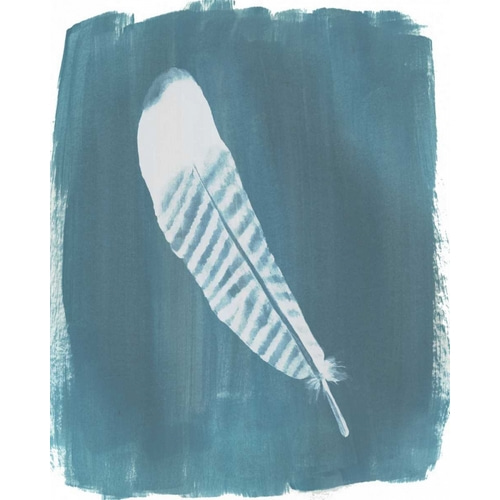 Feathers on Dusty Teal VI