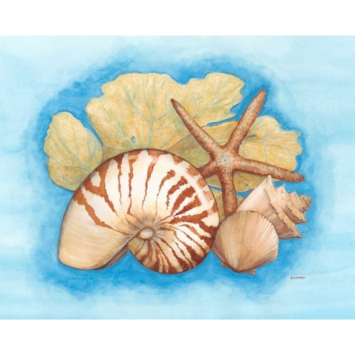 Seashells and Seafan I