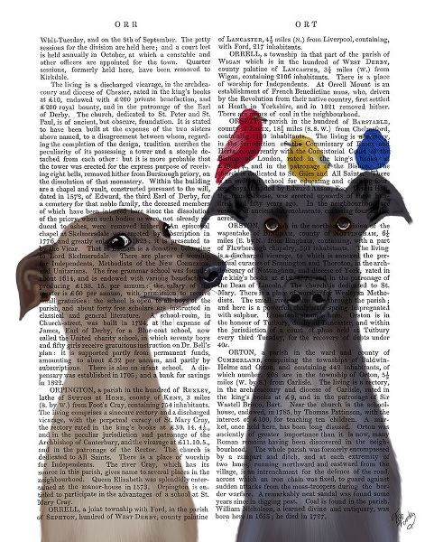 Fab Funky 아티스트의 Greyhounds and Birds Book Print작품입니다.